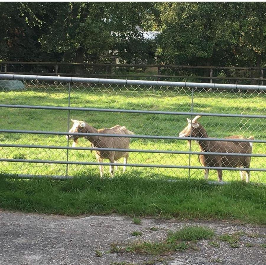 Onder De Boom Bed & Breakfast Gerkesklooster Luaran gambar