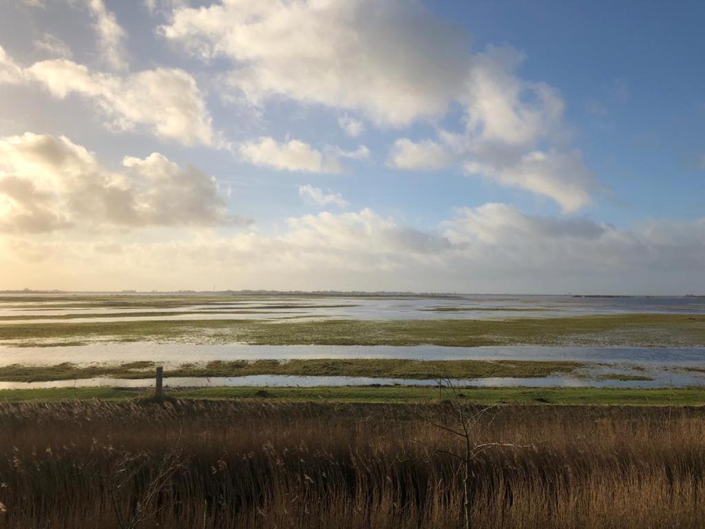 Onder De Boom Bed & Breakfast Gerkesklooster Luaran gambar