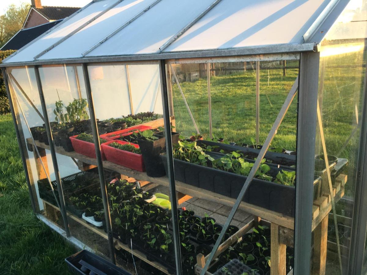 Onder De Boom Bed & Breakfast Gerkesklooster Luaran gambar